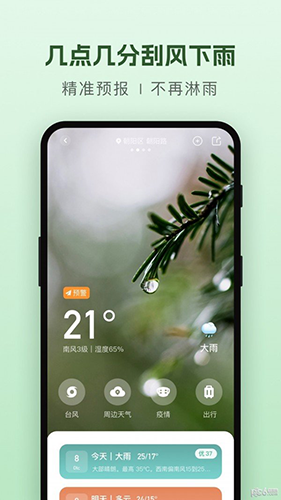 纯净天气预报软件最新版app下载