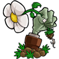 植物大战僵尸重制版最新版