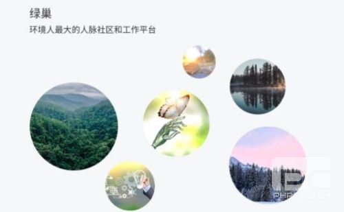 绿巢app下载
