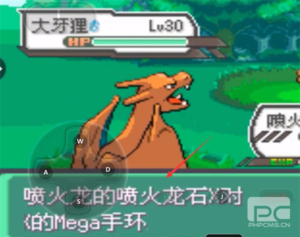 精灵宝可梦究极绿宝石手游下载