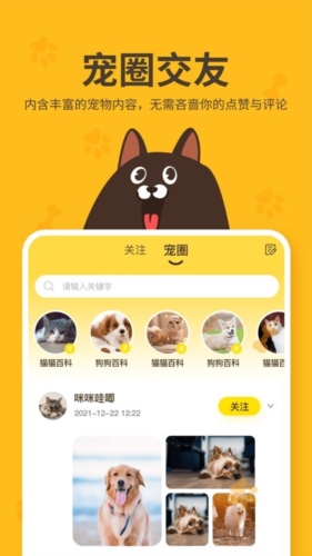 哈奇马app下载