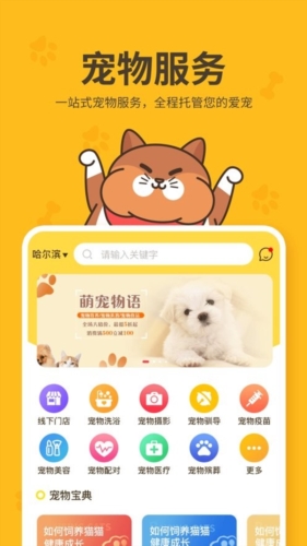 哈奇马app下载