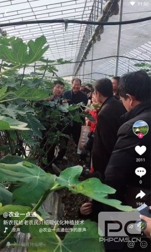 农兜安卓版app下载
