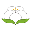 纱纤亿app