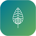 顷松APP