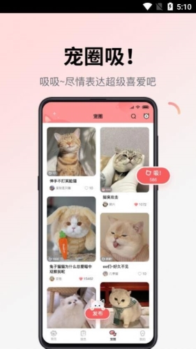 多仔宠物最新版app下载
