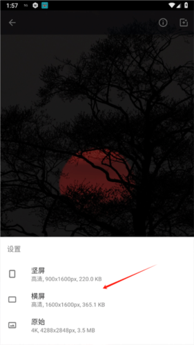 wallpaper4K安卓版app下载