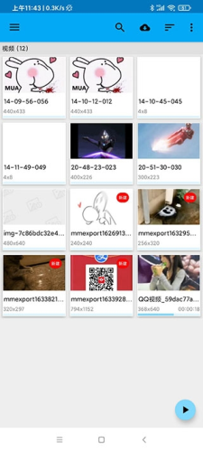 BSPlayer官方中文版app下载