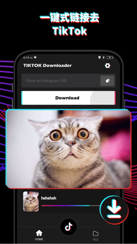 TikTok下载器app下载