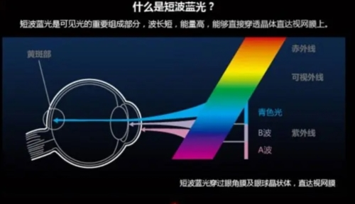 蓝光过滤器解锁付费版app下载
