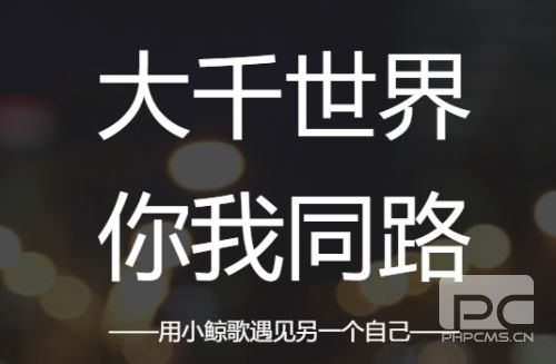 小鲸歌app下载