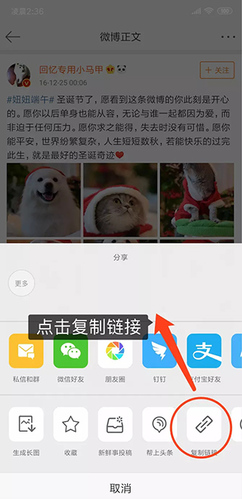 便捷下载解锁高级版app下载