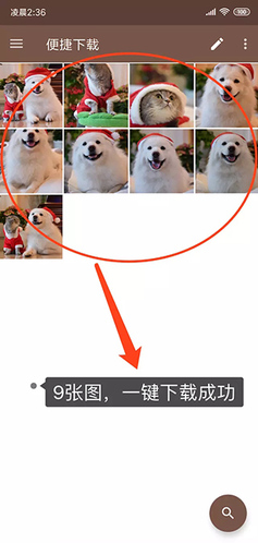 便捷下载解锁高级版app下载