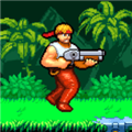 Gun