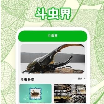 疯狂蛐蛐儿最新版app下载