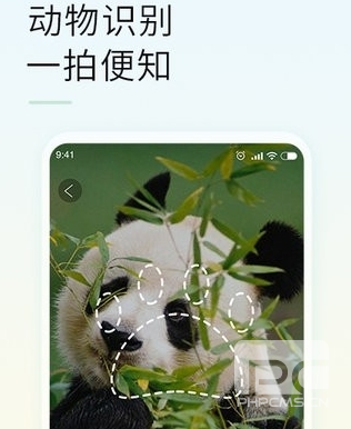 智能拍照识物app下载