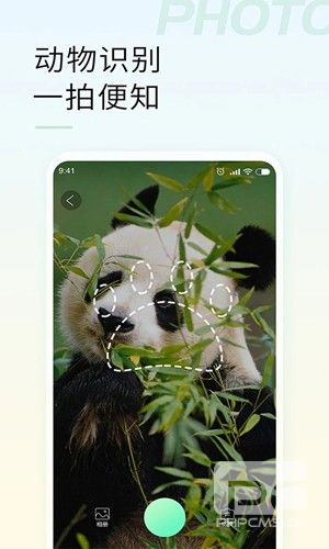 智能拍照识物app下载