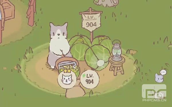 CatsSoup国际服版本最新游戏下载