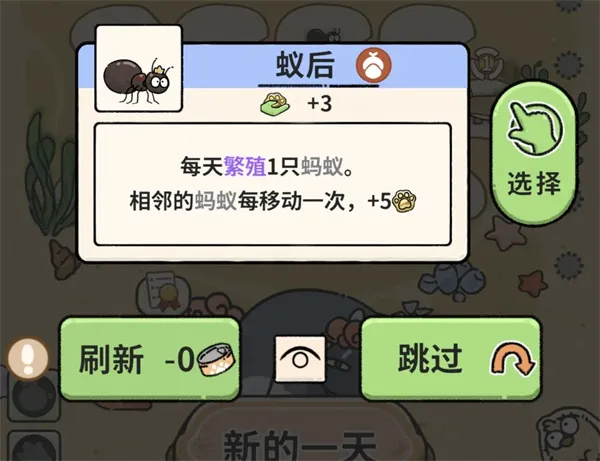 猫神牧场蚂蚁流玩法攻略