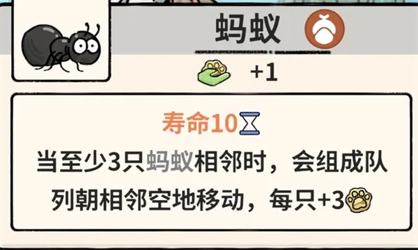 猫神牧场蚂蚁流玩法攻略