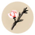 冬蜃楼游戏