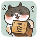 猫箱物语