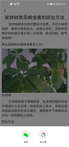 花医生app下载