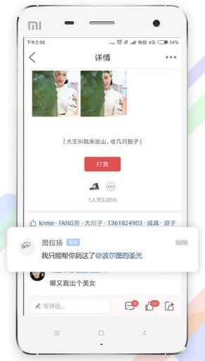 茶竹永川网最新版app下载