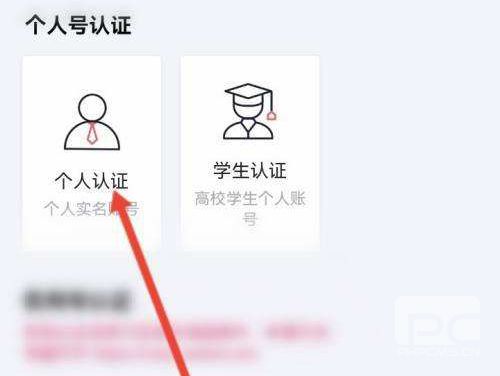N视频app下载