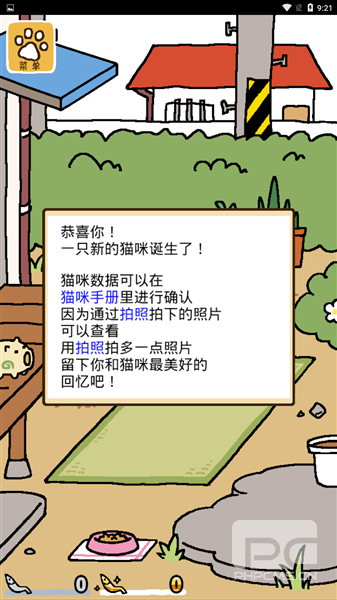 猫咪后院2最新版游戏下载