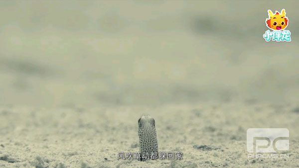 小伴龙海洋世界游戏app下载