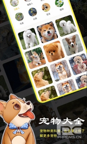 宠本本app下载
