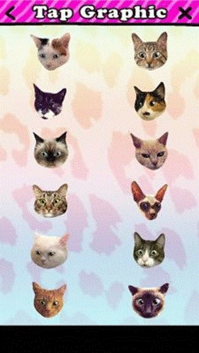 catwang美图app下载
