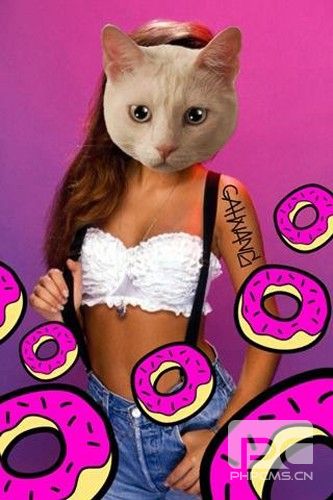 catwang美图app下载