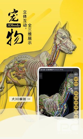 3dbody宠物解剖app官方版app下载