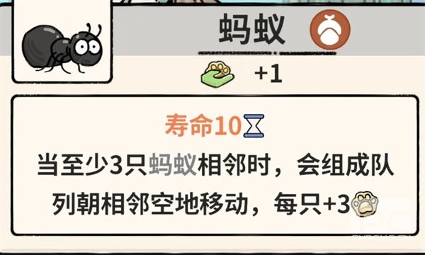 猫神牧场蚂蚁流玩法攻略介绍说明