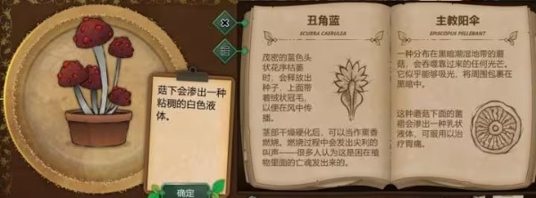 奇异园艺国际版手机版游戏下载