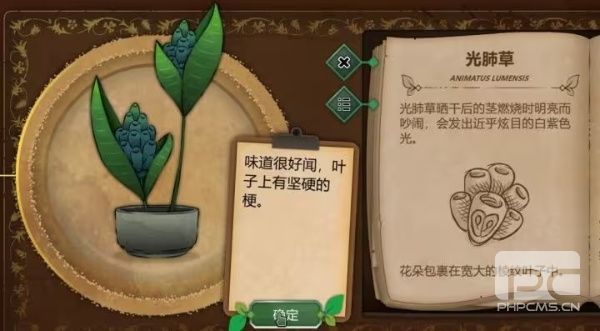 奇异园艺国际版手机版游戏下载