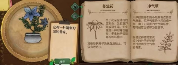 奇异园艺国际版手机版游戏下载