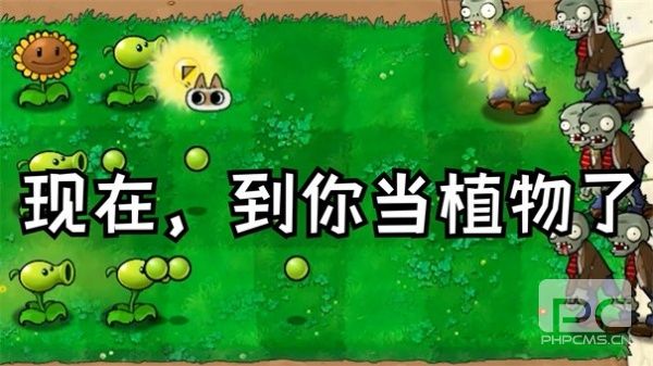 植物大战僵尸繁琐版最新版游戏下载