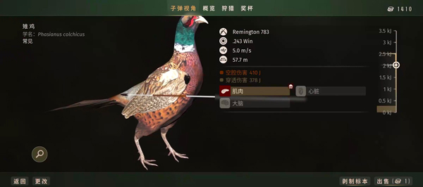 猎人之路手游最新版本游戏下载