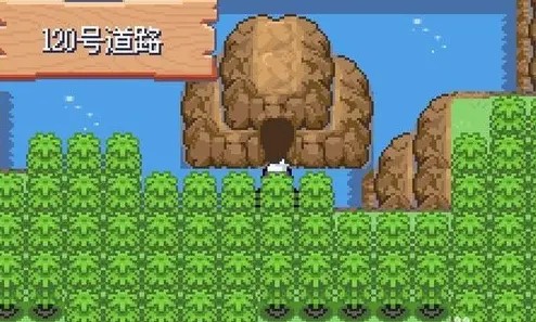 口袋妖怪漆黑的魅影5.0exbw版游戏下载